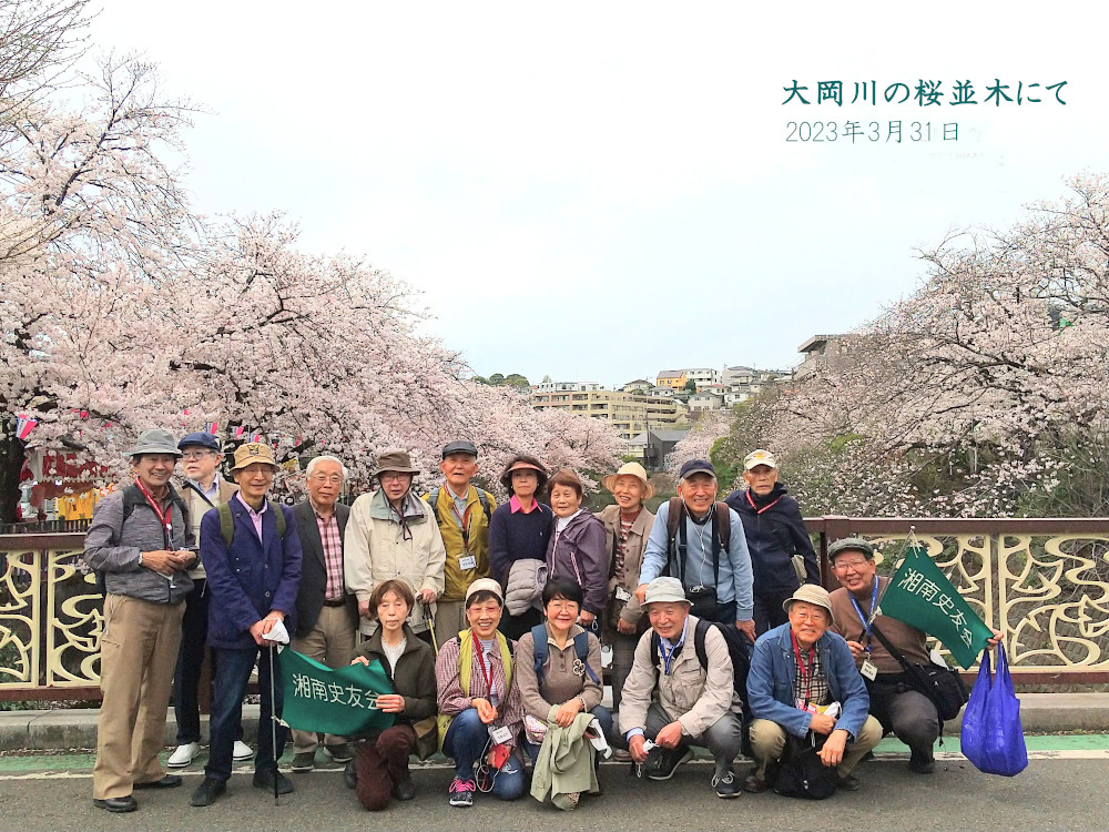 大岡川桜並木